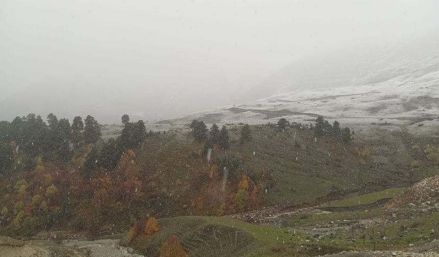 Artvin’in yüksek kesimlerine mevsimin ilk karı düştü