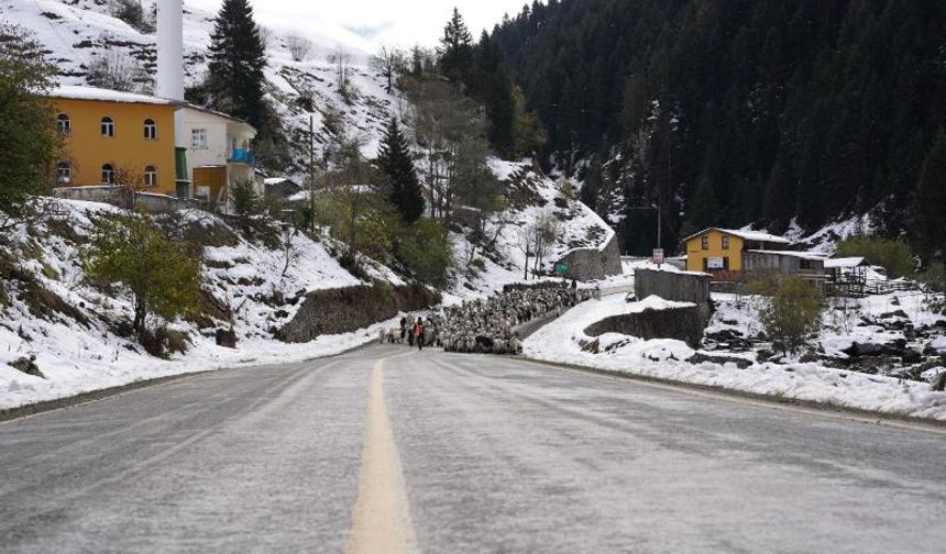 Rize’nin karlı yaylalarından kartpostallık görüntüler