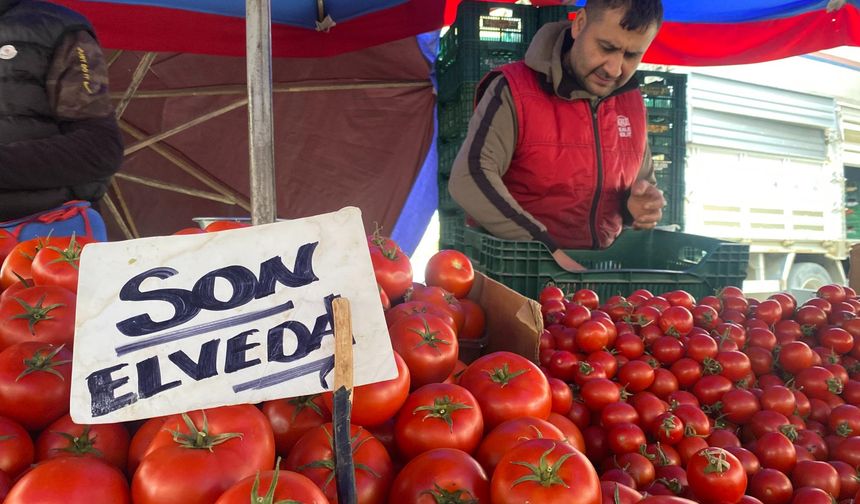 Ucuz ve lezzetli bahçe domateslerine esnaftan 'Son elveda'