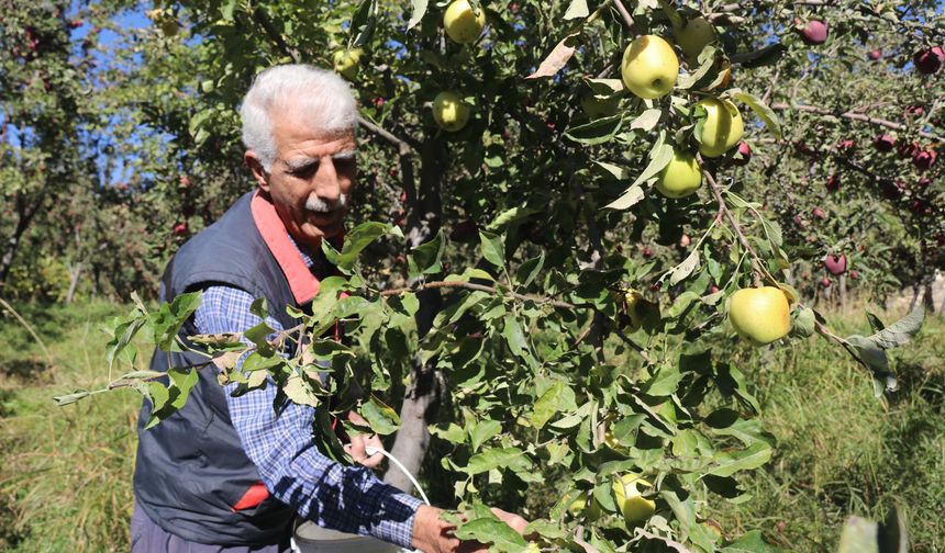 Meyveciliği hobiden ticarete dönüştürdü