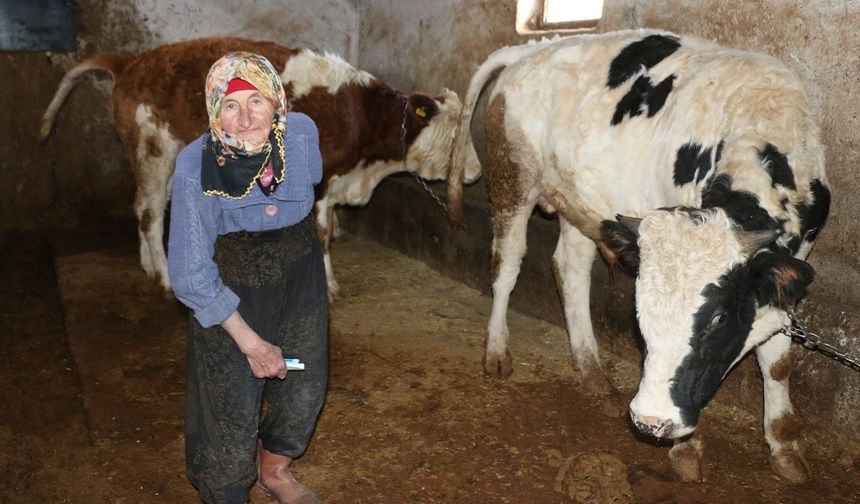 79 yaşındaki Dilber ninenin inanılmaz hayat mücadelesi görenlere maşallah dedirtiyor