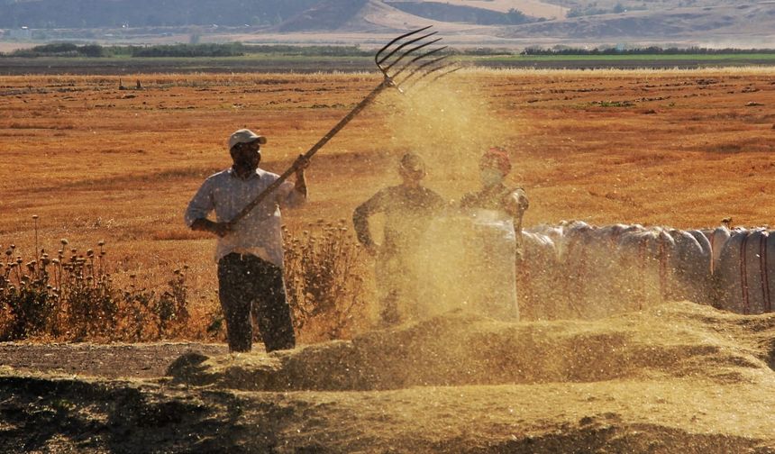 Tarımsal girdi fiyat endeksi yıllık yüzde 32,59 arttı