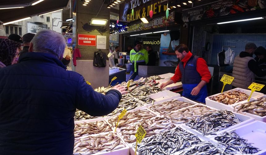 Karadeniz'de mezgit bereketi!