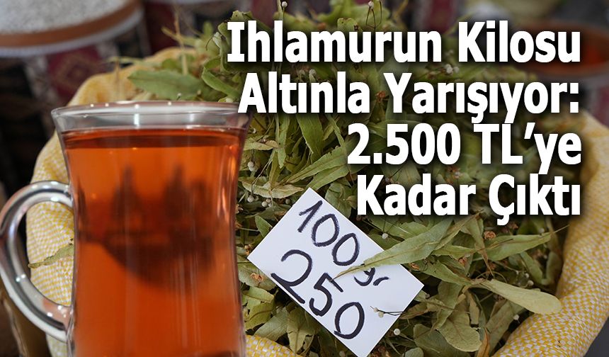 Ihlamurun Kilosu Altınla Yarışıyor: 2.500 TL’ye Kadar Çıktı