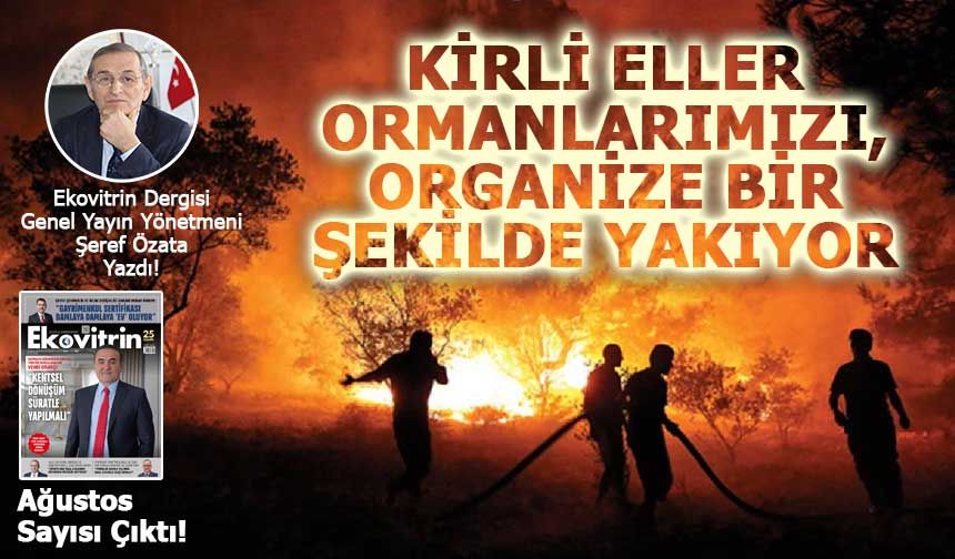 Kirli Eller Ormanlarımızı  yakıyorlar!