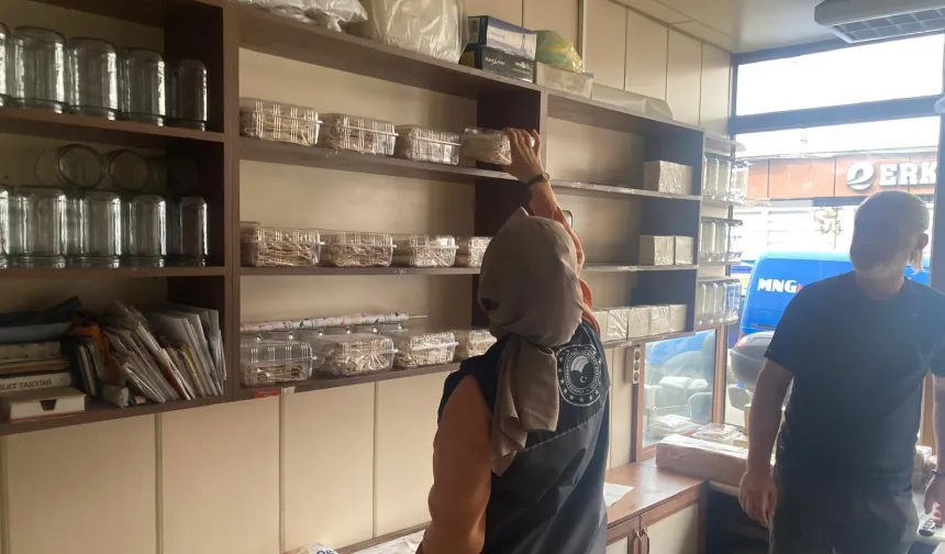 Bilecik Pazaryeri’nde gıda denetimleri sürüyor