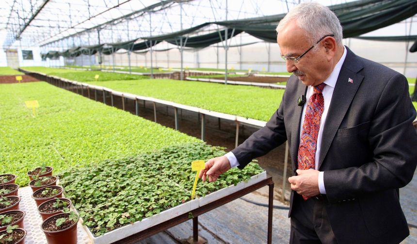 Ordu Büyükşehir Belediyesi 4,6 Milyon Sebze Fidesini Üreticilere Dağıttı