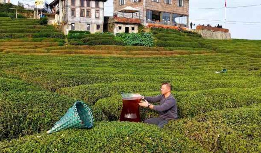 Rize’de Dev Çay Bardağıyla Çekilen Video Sosyal Medyada Viral Oldu