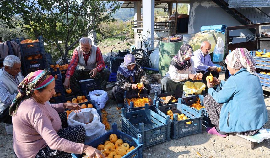 Adana’nın Hurmalı Köyü, Açık Hava Fabrikasına Dönüştü