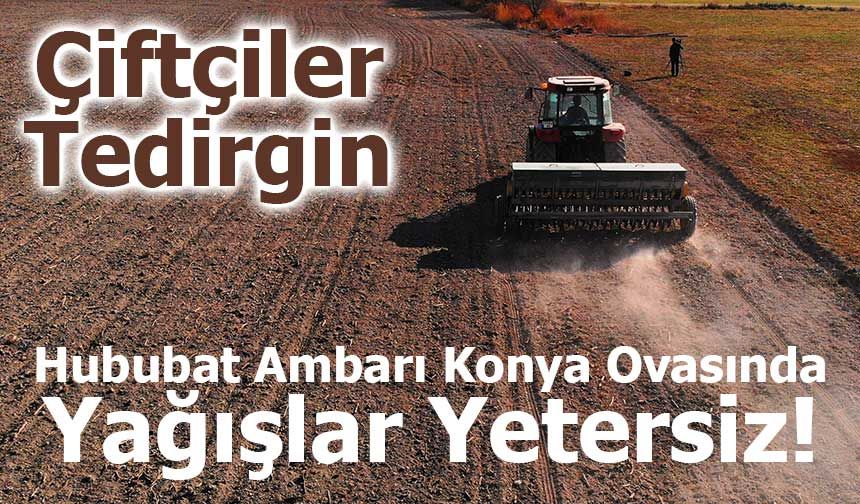 Hububat Ambarı Konya Ovasında Yağışlar Yetersiz, Çiftçiler Tedirgin