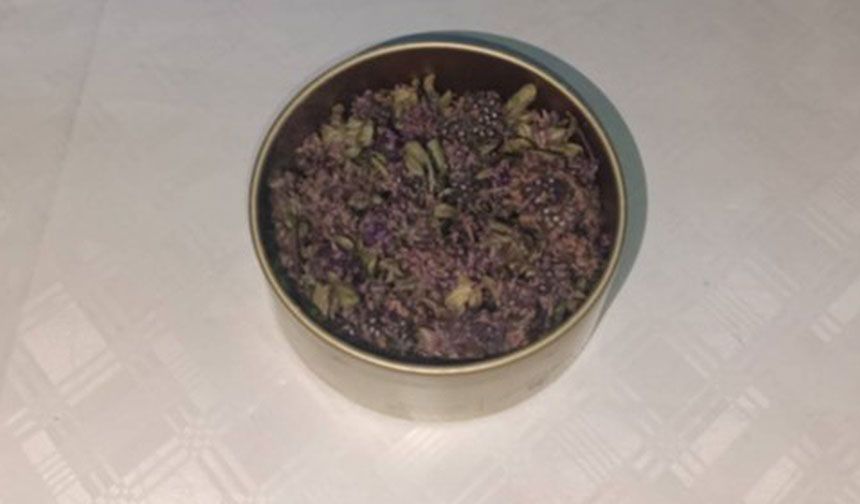 Endemik Bitki Kaçakçılığına Ağır Ceza: 557 Bin TL’lik Fatura Kesildi