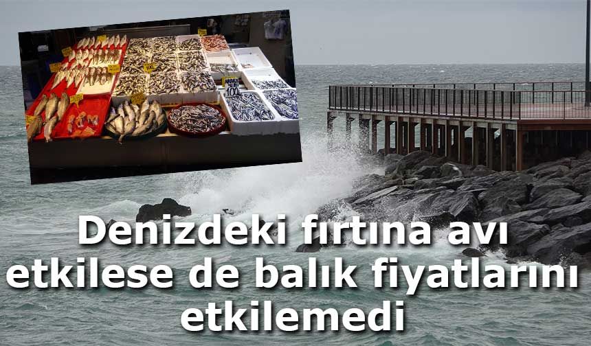 Karadeniz’de Fırtına Avı Vurdu, Balık Fiyatları Sabit Kaldı