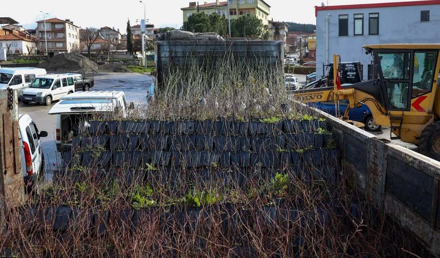 Büyükşehirden kırsala 4,6 milyon liralık destek: 83 bin 515 fide ve fidan dağıtılacak