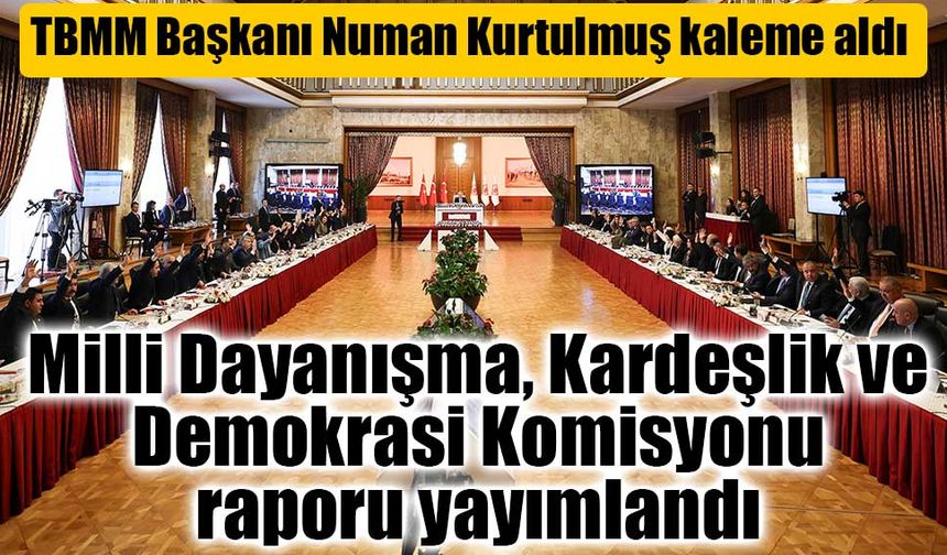 Milli Dayanışma Komisyonu Raporu Yayımlandı