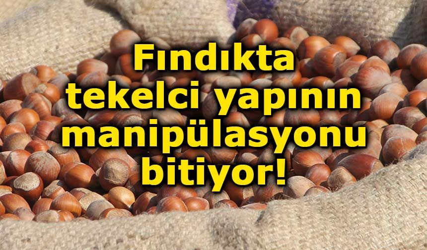 Fındıkta tekelci yapının manipülasyonu bitiyor!