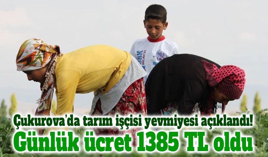 Çukurova’da tarım işçisi yevmiyeleri açıklandı! 2026 ücretleri belli oldu