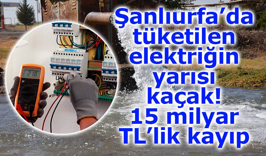 Şanlıurfa’da tüketilen elektriğin yarısı kaçak: 15 milyar TL’lik kayıp