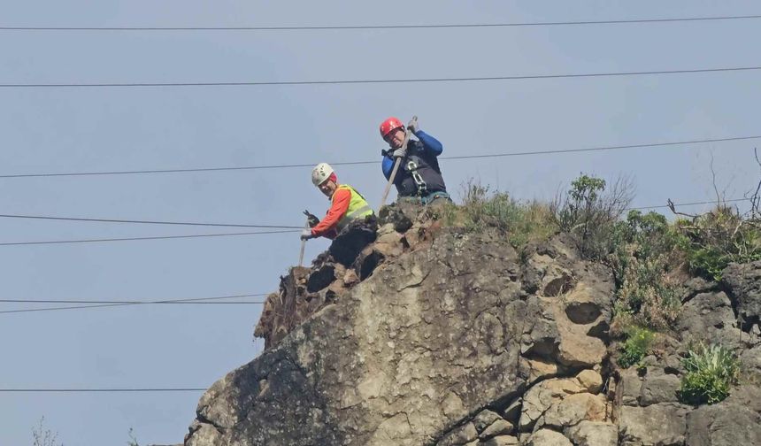 Metrelerce Yükseklikte Hayatla Dans: Artvin’de Tehlikeli Görev