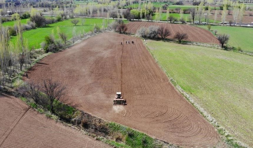 Çiftçinin enflasyonu Şubat ayında yavaşladı