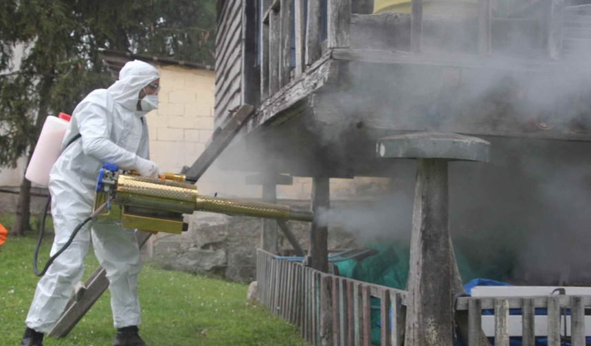 Kahverengi kokarcaya mücadelede 190 bin nokta ilaçlandı