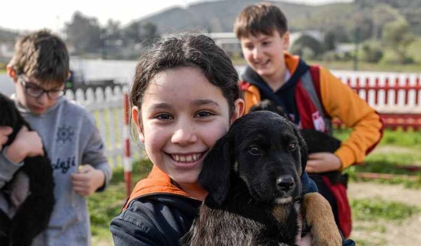 İzmir’de 2 Bin 300 Patili Dost Yeni Yuvasını Bekliyor: "Satın Alma, Sahiplen!"