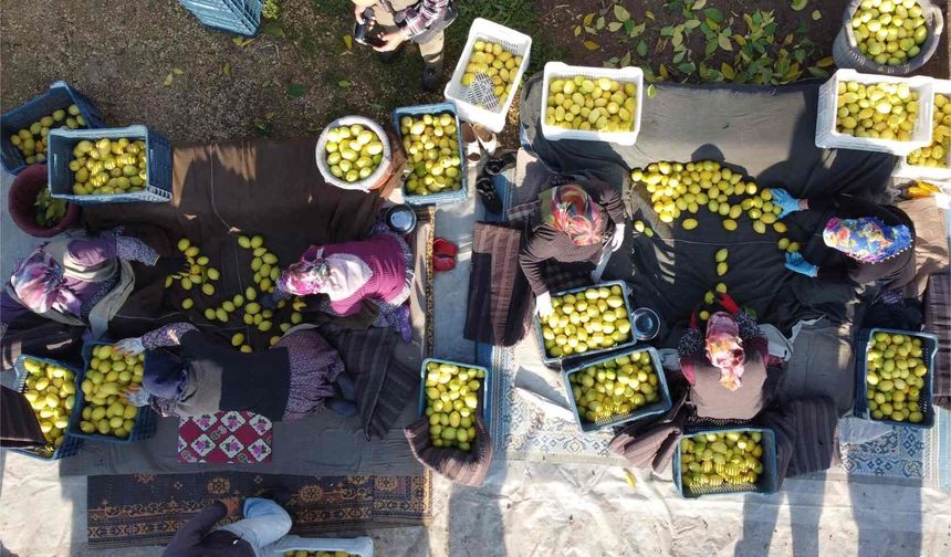 Tarım-ÜFE yıllık yüzde 40,10 arttı