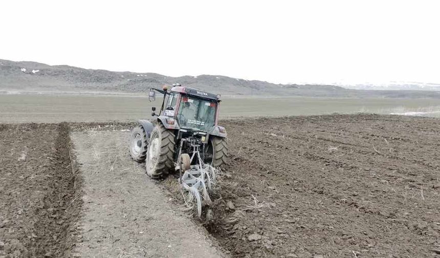 Adilcevaz'da arpa ekimine başlandı