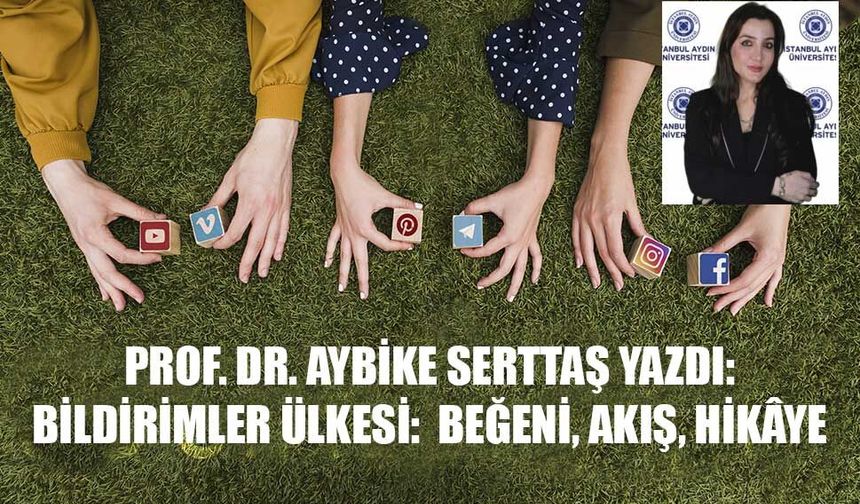 PROF. DR. AYBİKE SERTTAŞ YAZDI: BİLDİRİMLER ÜLKESİ:  BEĞENİ, AKIŞ, HİKÂYE