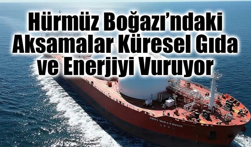 Hürmüz Boğazı’ndaki aksamalar küresel tarım ve enerji piyasalarını etkiliyor