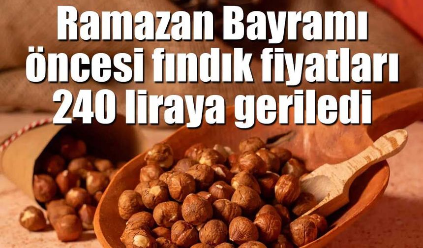 Bayram öncesi fındık fiyatlarında düşüş: 240 liraya geriledi