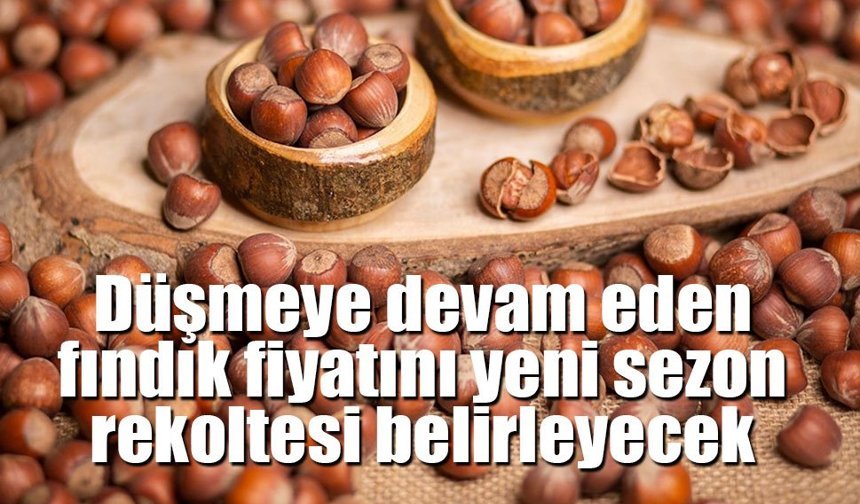 Fındık fiyatlarında yönü yeni sezon belirleyecek