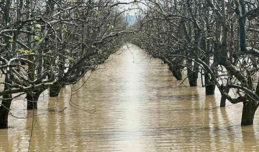 Bursa'da yüzlerce dönüm şeftali ve armut bahçesi su altında