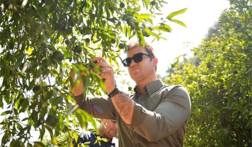 Mandalin üreticisine 5 milyon kazanç