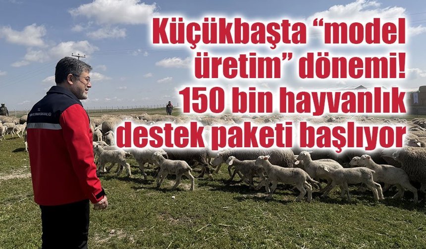 Küçükbaşta “model üretim” dönemi: 150 bin hayvanlık destek paketi başlıyor