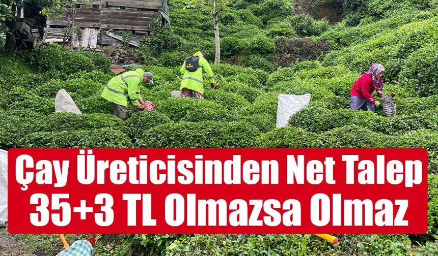 Yaş çay üreticisinden “35+3 TL” çağrısı: Maliyet baskısı artıyor