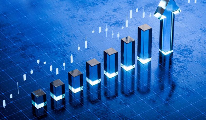 Tly fon rüzgarı! Tera Portföy yatırımcı sayısını katladı