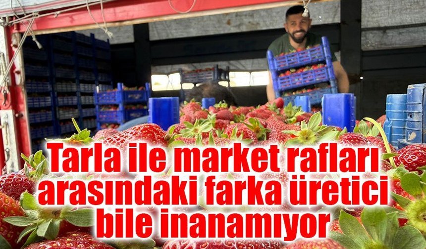 Tarla ile market rafları arasındaki farka üretici bile inanamıyor