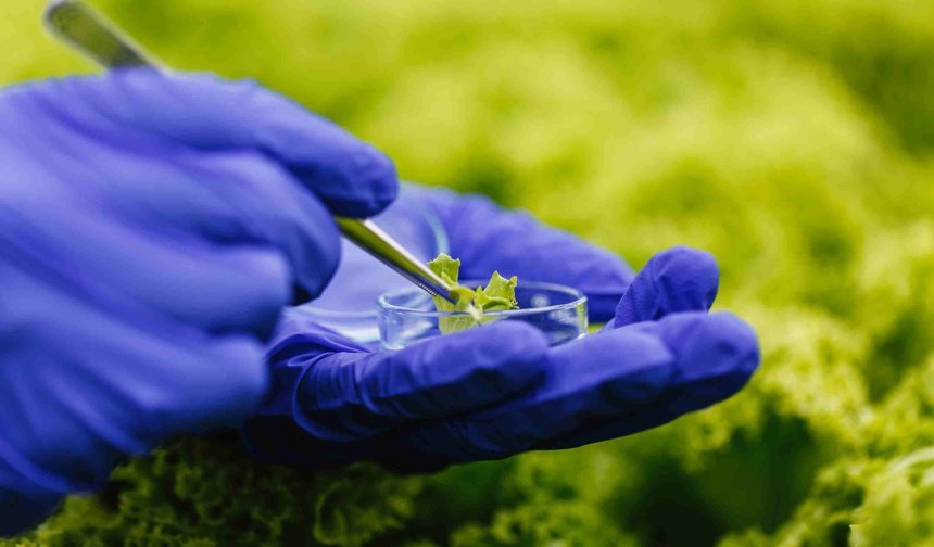 Bazı gübrelerde gümrük vergisi sıfırlandı