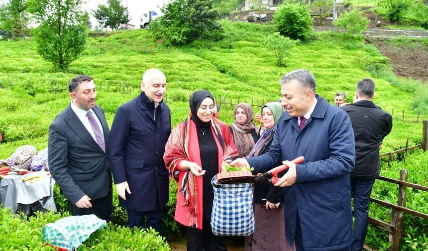 Trabzon'da yaş çay sezonu dualarla açıldı