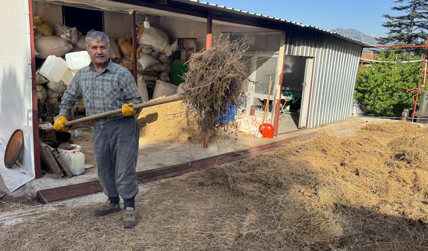Toroslar'da yetişen 31 farklı bitkinin yağını çıkartıp ülkenin dört bir yanına gönderiyor