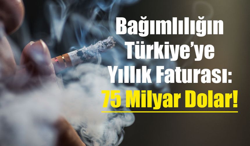 Bağımlılığın Türkiye’ye Yıllık Faturası: 75 Milyar Dolar!