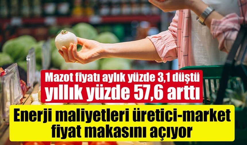 Enerji maliyetleri üretici-market fiyat makasını açıyor