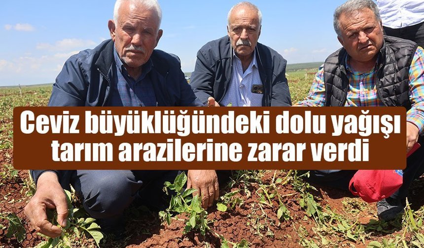 Ceviz büyüklüğündeki dolu Amik Ovası’nı vurdu