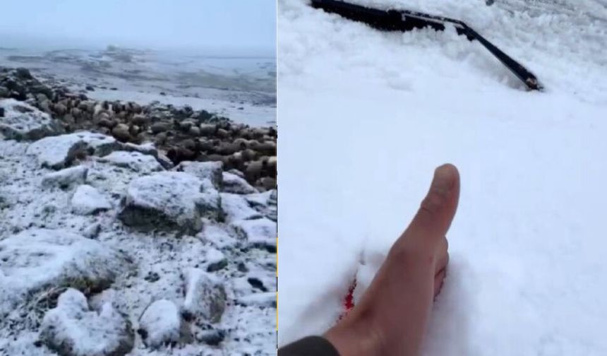 Mayıs sonunda Kars'a kış geri döndü, eksi 5 derecede kar sürprizi