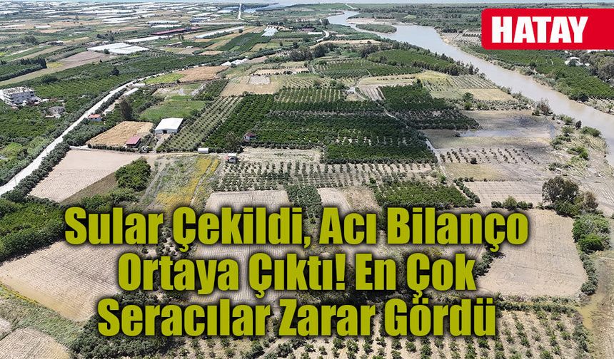 Hatay'da Taşan Asi Nehri Tarım Arazilerini Yuttu