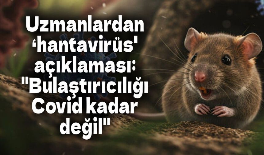 Uzmanlardan ‘hantavirüs' açıklaması: "Bulaştırıcılığı Covid kadar değil"