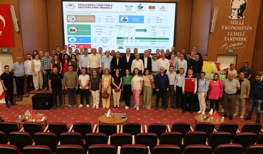 Üzüm Sektöründe Kritik Gündem: Rekolte, Kalıntı ve Fiyat Dengesi