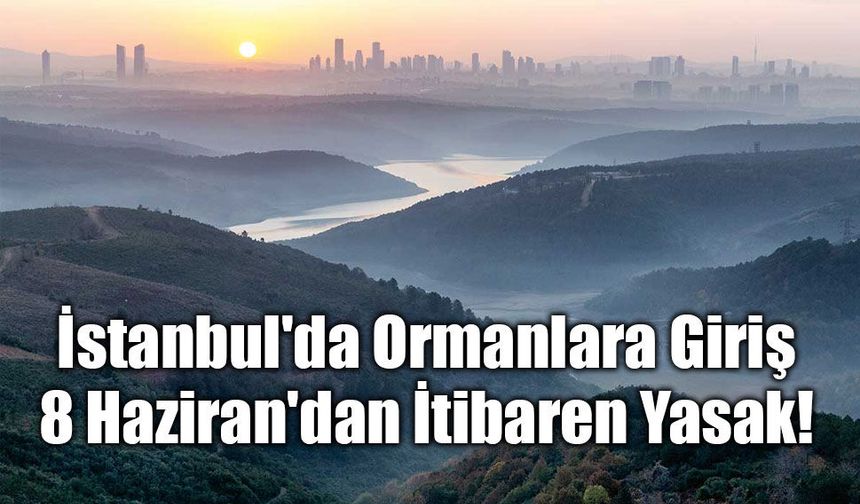 İstanbul'da Ormanlara Giriş 8 Haziran'dan İtibaren Yasaklandı