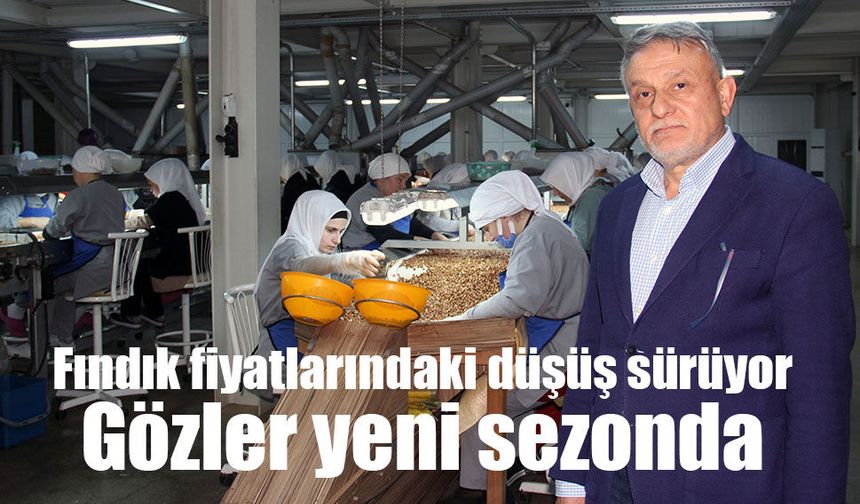 Fındık fiyatlarındaki düşüş sürüyor: Gözler yeni sezonda