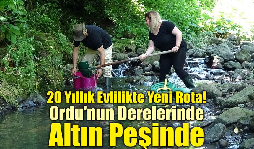 Ordulu Çiftin Hayatını Değiştiren Hobi! Derelerde Altın Arıyorlar